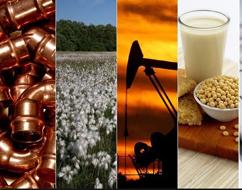 SAP TRM Treasury Risk Management